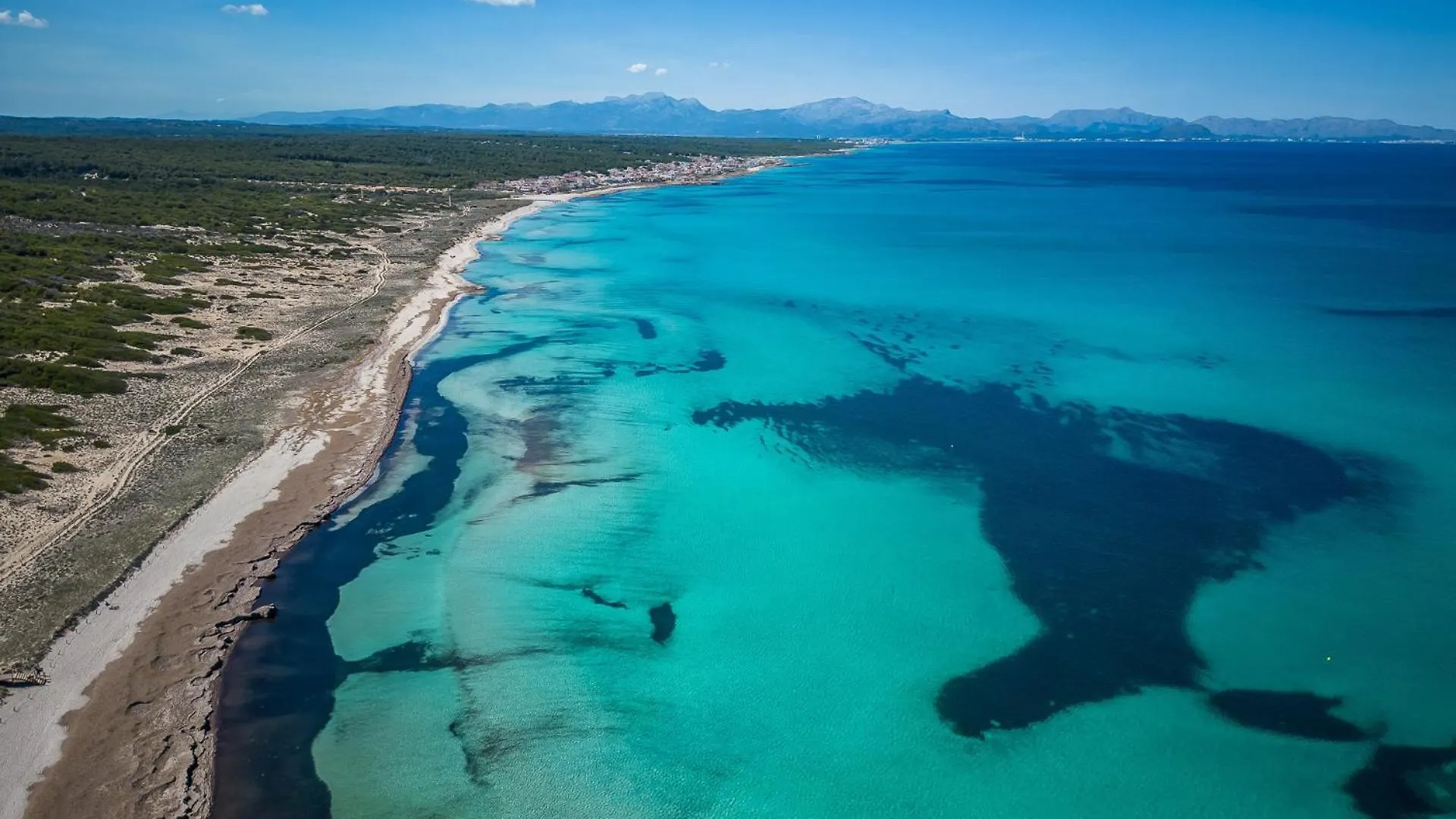Contactos de Ideal Property Mallorca - Son Serra